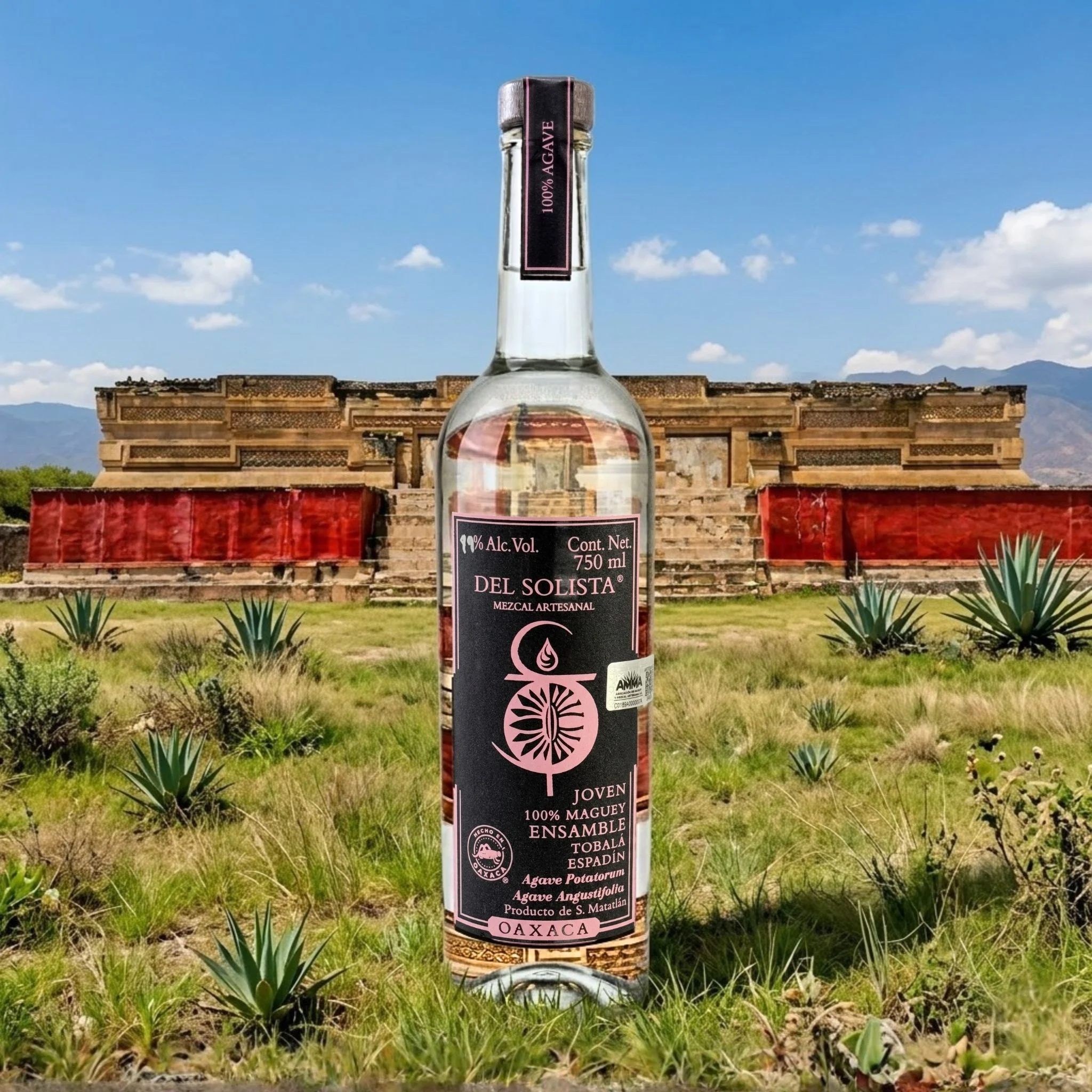 Mezcal Artesanal Del Solista Ensamble 750 - Image 2