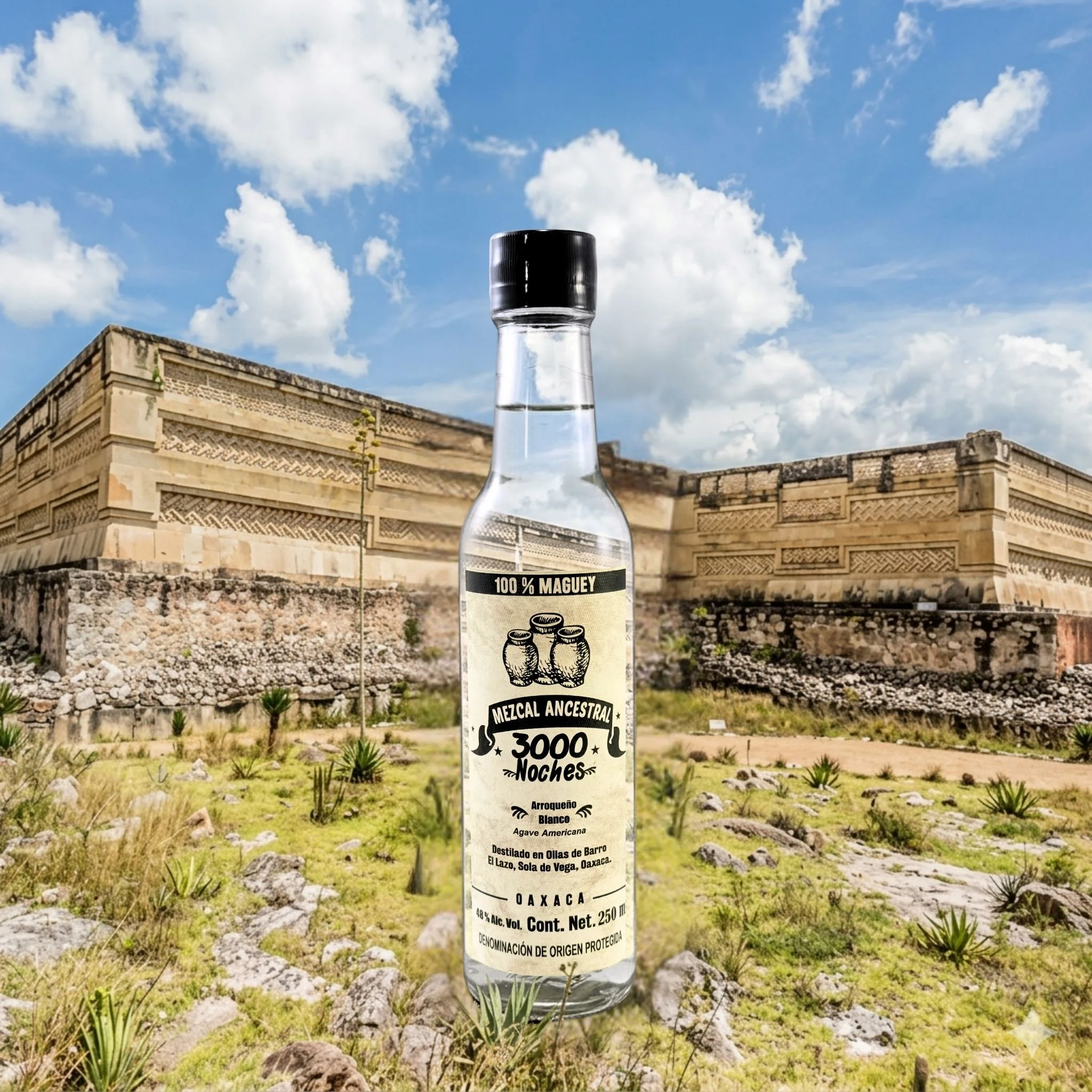 Ancestral 3000 Noches Arroqueño 250 - Image 2